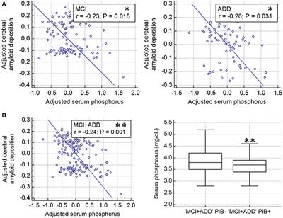 Low Serum Phosphorus Correlates with Cerebral Aβ Deposition in Cognitively Impaired Subjects: Results from the KBASE Study